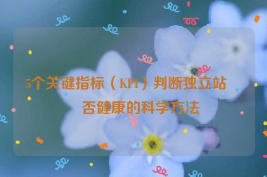 5個(gè)關(guān)鍵指標(biāo)（KPI）判斷獨(dú)立站是否健康的科學(xué)方法