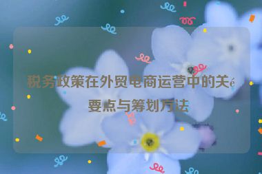 稅務(wù)政策在外貿(mào)電商運(yùn)營中的關(guān)鍵要點(diǎn)與籌劃方法