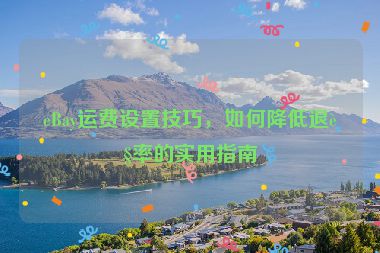 eBay運費設(shè)置技巧，如何降低退貨率的實用指南