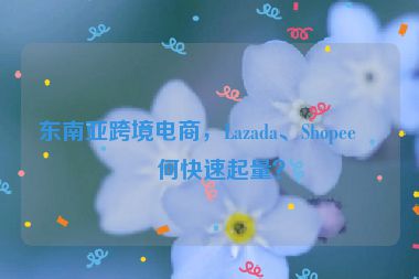 東南亞跨境電商，Lazada、Shopee如何快速起量？