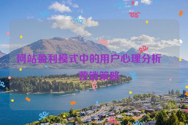 網(wǎng)站盈利模式中的用戶心理分析與營(yíng)銷策略