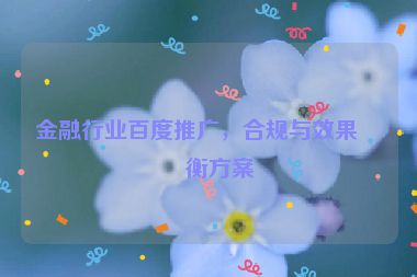 金融行業(yè)百度推廣，合規(guī)與效果平衡方案