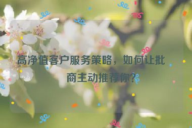 高凈值客戶服務(wù)策略，如何讓批發(fā)商主動(dòng)推薦你？