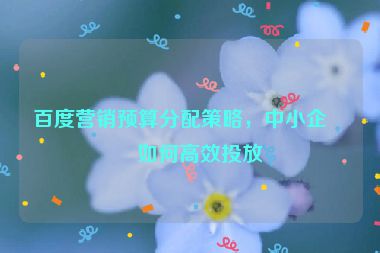 百度營銷預(yù)算分配策略，中小企業(yè)如何高效投放