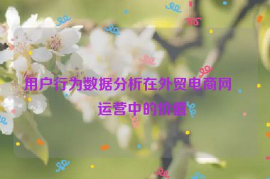 用戶行為數據分析在外貿電商網站運營中的價值