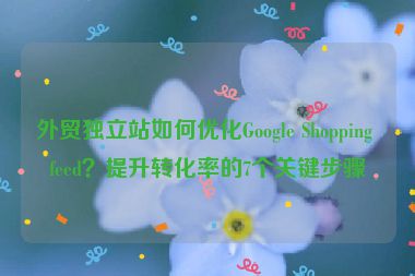 外貿(mào)獨(dú)立站如何優(yōu)化Google Shopping feed？提升轉(zhuǎn)化率的7個(gè)關(guān)鍵步驟