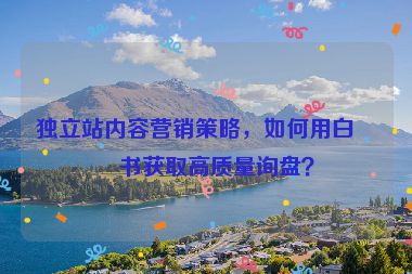 獨(dú)立站內(nèi)容營(yíng)銷策略，如何用白皮書獲取高質(zhì)量詢盤？