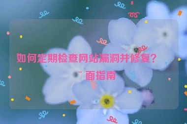 如何定期檢查網(wǎng)站漏洞并修復(fù)？全面指南