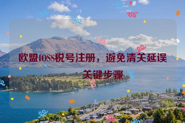 歐盟IOSS稅號(hào)注冊(cè)，避免清關(guān)延誤的關(guān)鍵步驟