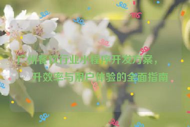 廣州餐飲行業(yè)小程序開發(fā)方案，提升效率與用戶體驗(yàn)的全面指南