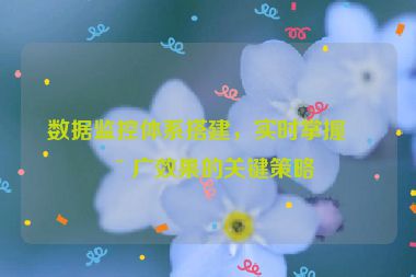 數(shù)據(jù)監(jiān)控體系搭建，實(shí)時(shí)掌握推廣效果的關(guān)鍵策略