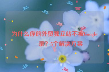 為什么你的外貿(mào)獨(dú)立站不被Google收錄？5個解決方案