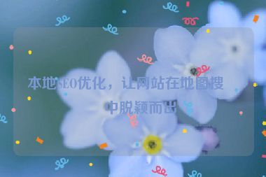 本地SEO優(yōu)化，讓網(wǎng)站在地圖搜索中脫穎而出