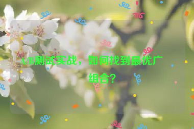 A/B測(cè)試實(shí)戰(zhàn)，如何找到最優(yōu)廣告組合？