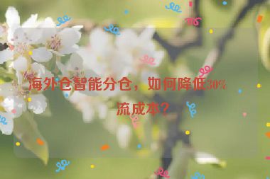 海外倉智能分倉，如何降低30%物流成本？