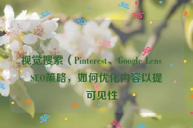 視覺(jué)搜索（Pinterest、Google Lens）SEO策略，如何優(yōu)化內(nèi)容以提升可見(jiàn)性