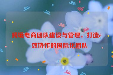 跨境電商團隊建設(shè)與管理，打造高效協(xié)作的國際化團隊