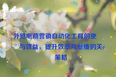 外貿(mào)電商營(yíng)銷(xiāo)自動(dòng)化工具的使用與效益，提升效率與業(yè)績(jī)的關(guān)鍵策略