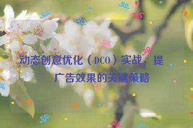 動態(tài)創(chuàng)意優(yōu)化（DCO）實戰(zhàn)，提升廣告效果的關(guān)鍵策略