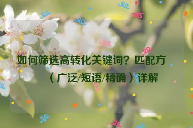 如何篩選高轉(zhuǎn)化關(guān)鍵詞？匹配方式（廣泛/短語/精確）詳解