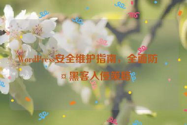 WordPress安全維護指南，全面防護黑客入侵策略