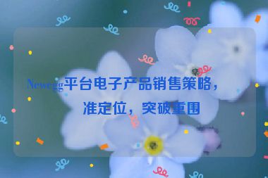 Newegg平臺(tái)電子產(chǎn)品銷售策略，精準(zhǔn)定位，突破重圍