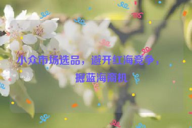 小眾市場(chǎng)選品，避開(kāi)紅海競(jìng)爭(zhēng)，挖掘藍(lán)海商機(jī)