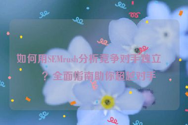 如何用SEMrush分析競爭對手獨立站？全面指南助你超越對手