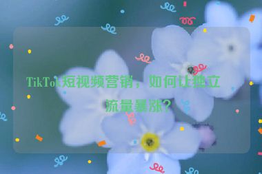 TikTok短視頻營銷，如何讓獨(dú)立站流量暴漲？