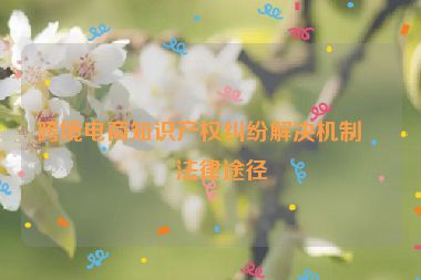 跨境電商知識產(chǎn)權(quán)糾紛解決機制與法律途徑