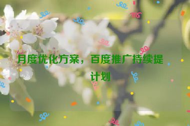 月度優(yōu)化方案，百度推廣持續(xù)提升計劃