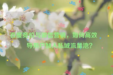 百度競價(jià)與微信營銷，如何高效引導(dǎo)用戶加入私域流量池？
