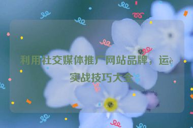 利用社交媒體推廣網(wǎng)站品牌，運(yùn)營實(shí)戰(zhàn)技巧大全