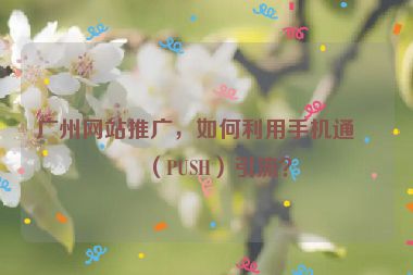 廣州網(wǎng)站推廣，如何利用手機通知（PUSH）引流？