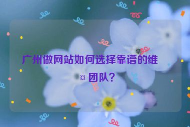 廣州做網(wǎng)站如何選擇靠譜的維護團隊？