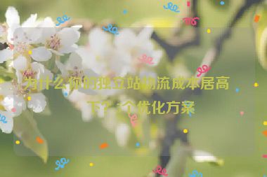 為什么你的獨(dú)立站物流成本居高不下？5個(gè)優(yōu)化方案