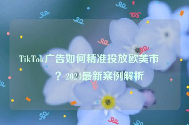 TikTok廣告如何精準投放歐美市場？2024最新案例解析