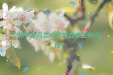 廣州做教育類網站需要哪些特殊資質？