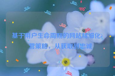 基于用戶生命周期的網(wǎng)站精細(xì)化運(yùn)營(yíng)策略，從獲取到忠誠(chéng)