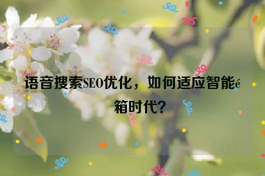語(yǔ)音搜索SEO優(yōu)化，如何適應(yīng)智能音箱時(shí)代？
