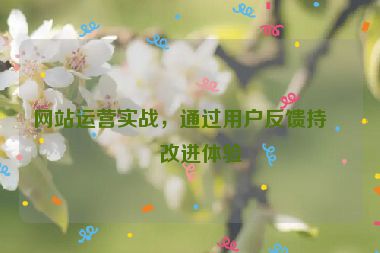 網(wǎng)站運(yùn)營實(shí)戰(zhàn)，通過用戶反饋持續(xù)改進(jìn)體驗(yàn)