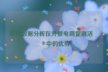 實(shí)時(shí)數(shù)據(jù)分析在外貿(mào)電商促銷活動(dòng)中的優(yōu)勢