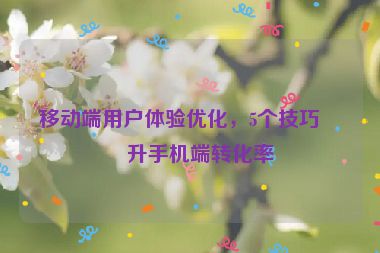 移動(dòng)端用戶(hù)體驗(yàn)優(yōu)化，5個(gè)技巧提升手機(jī)端轉(zhuǎn)化率