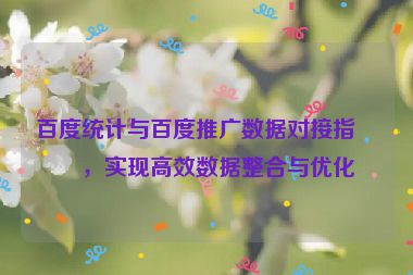 百度統(tǒng)計與百度推廣數(shù)據(jù)對接指南，實現(xiàn)高效數(shù)據(jù)整合與優(yōu)化