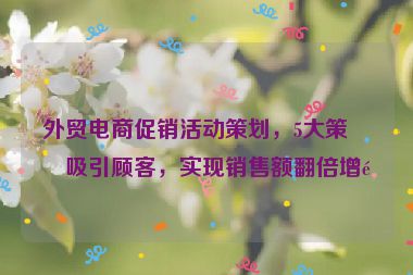 外貿(mào)電商促銷(xiāo)活動(dòng)策劃，5大策略吸引顧客，實(shí)現(xiàn)銷(xiāo)售額翻倍增長(zhǎng)