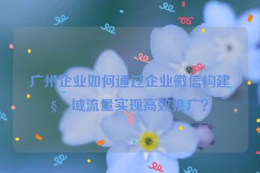 廣州企業(yè)如何通過企業(yè)微信構建私域流量實現(xiàn)高效推廣？