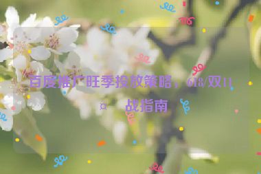 百度推廣旺季投放策略，618/雙11備戰(zhàn)指南