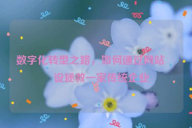 數(shù)字化轉型之路，如何通過網(wǎng)站建設拯救一家傳統(tǒng)企業(yè)