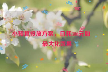 小預(yù)算投放方案，日耗300元如何最大化效果