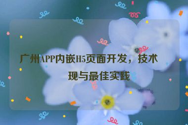 廣州APP內(nèi)嵌H5頁面開發(fā)，技術(shù)實現(xiàn)與最佳實踐